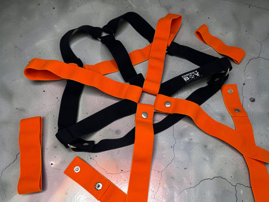 How To Put On A Harness 🤯