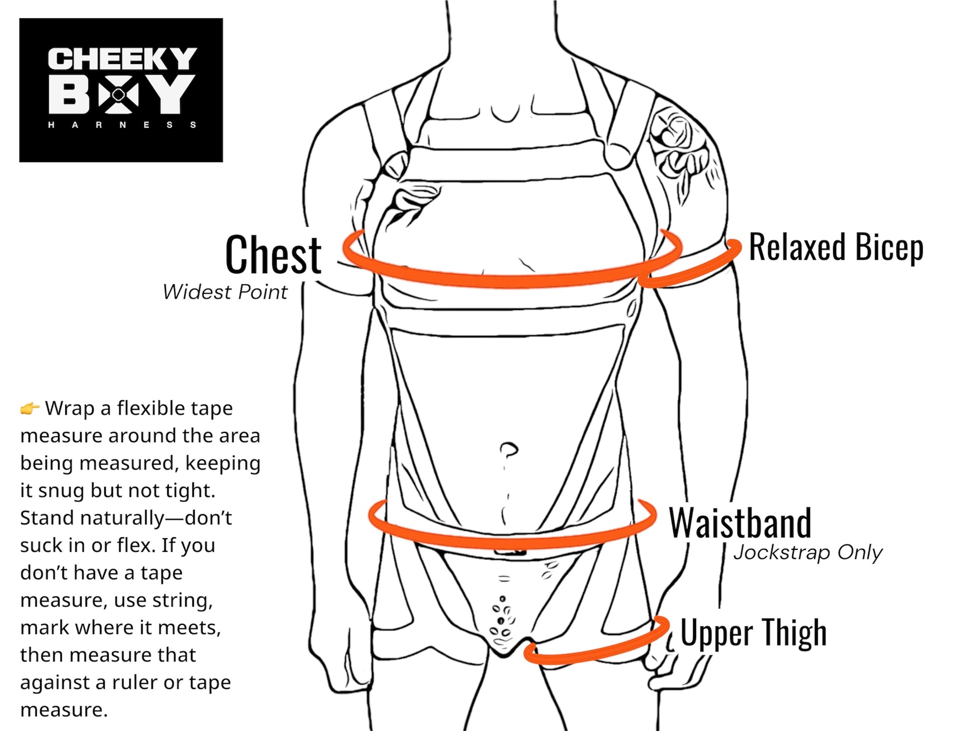 Body measurement guide for a made-to-measure chest and full body harness
