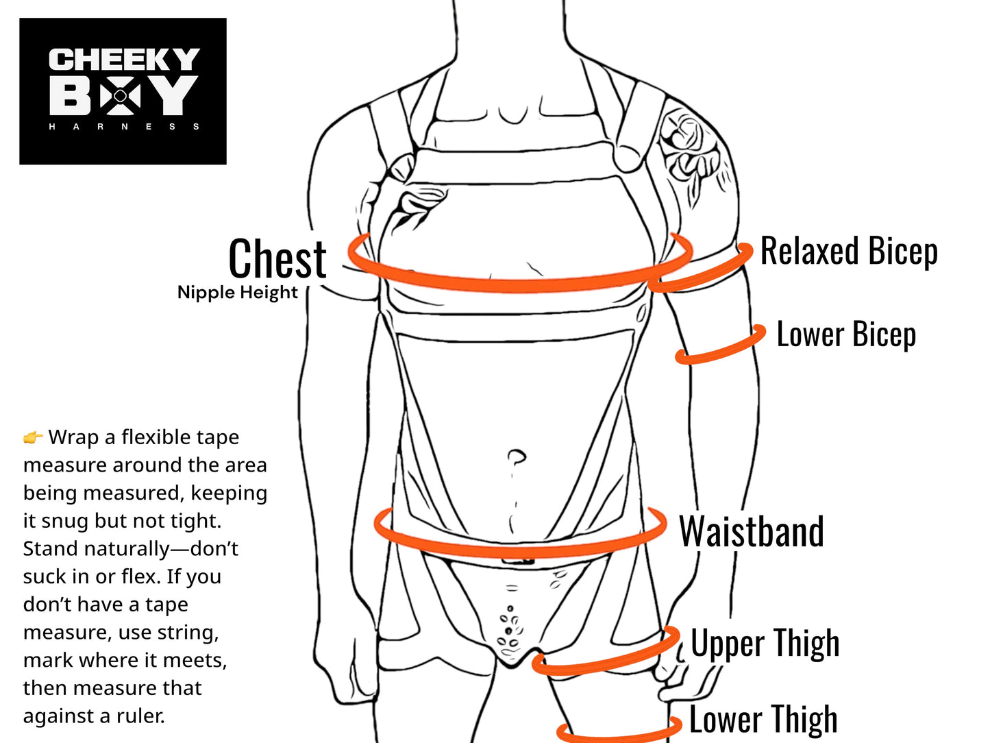 Made-to-measure diagram showing where to measure the chest, biceps, waistband, upper thighs and lower thighs for a custom-fit Harness.
