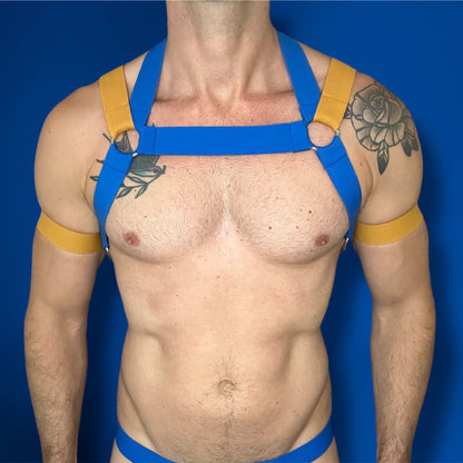 Interchangeable Body Harness with Bicep Bands - Royal Blue & Ginger Mix