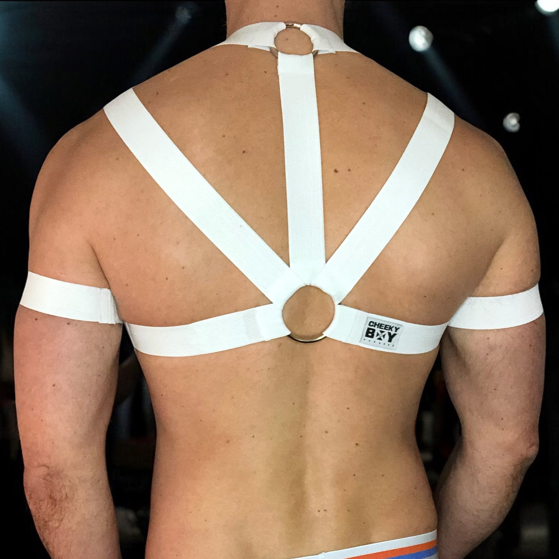 Man Wearing a Made-To-Measure White Elastic Body Harness with Metal Rings and Matching Bicep Bands, Club Background, Custom Fit Design