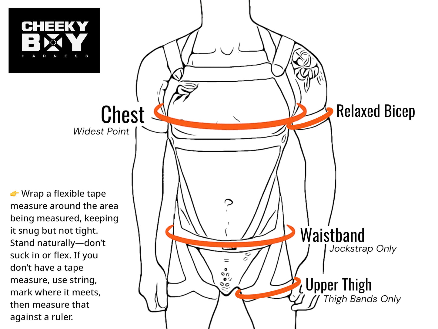 Mens Interchangeable Body Harness with Bicep Bands - Gold or Silver