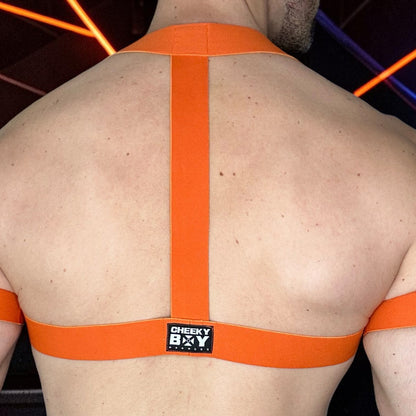 Men’s Basic Chest Harness with Bicep Bands - Orange