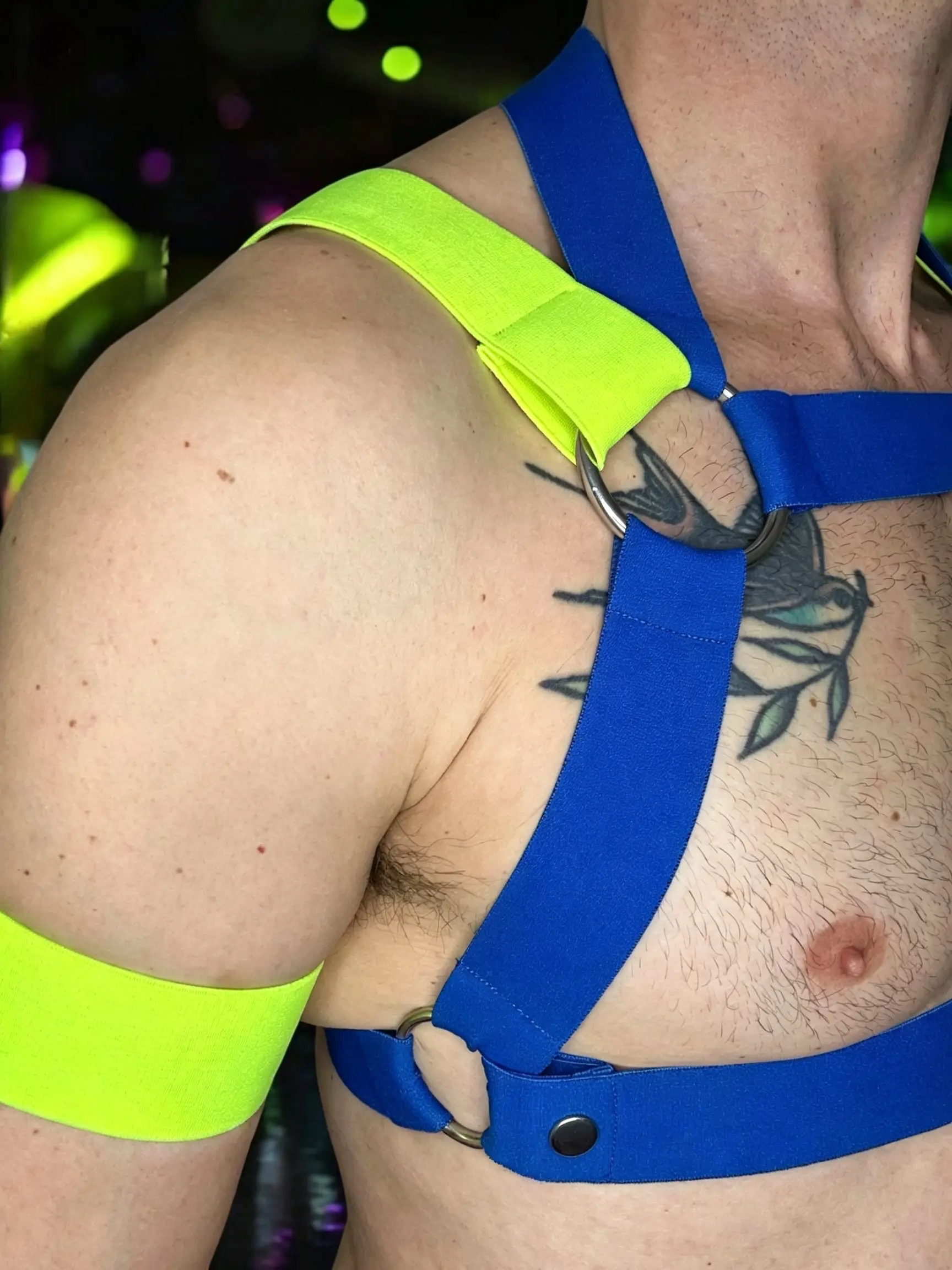 Side close-up of the blue and neon yellow elastic chest harness showing the silver-tone ring and removable lower strap secured with a metal popper.
