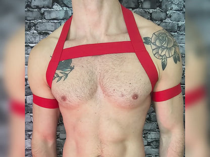 Men’s Basic Chest Harness with Bicep Bands - Orange