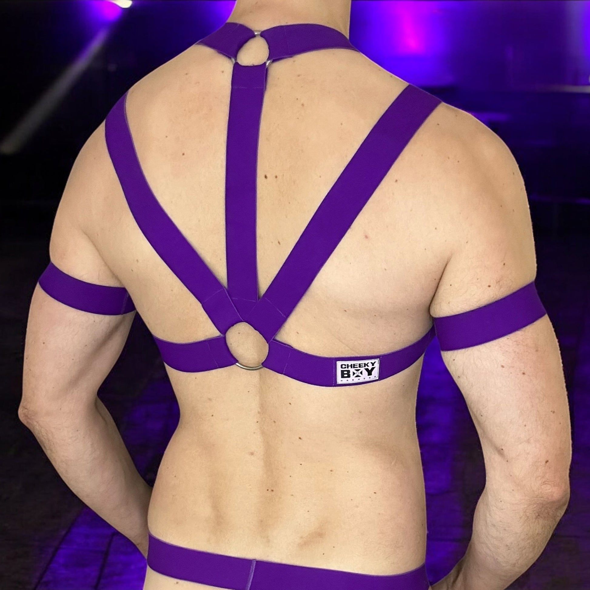 Man wearing a custom-fit purplr elastic chest and body harness with matching bicep bands, featuring metal ring details and diagonal strap design. Styled with black mesh jockstrap underwear. Handmade by Cheeky Boy Harness